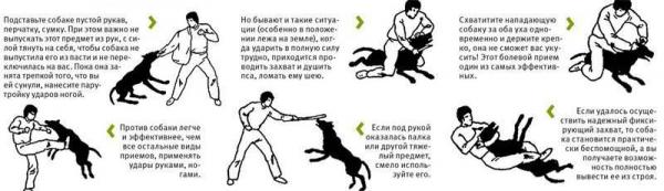 Защиты от нападения собак фото